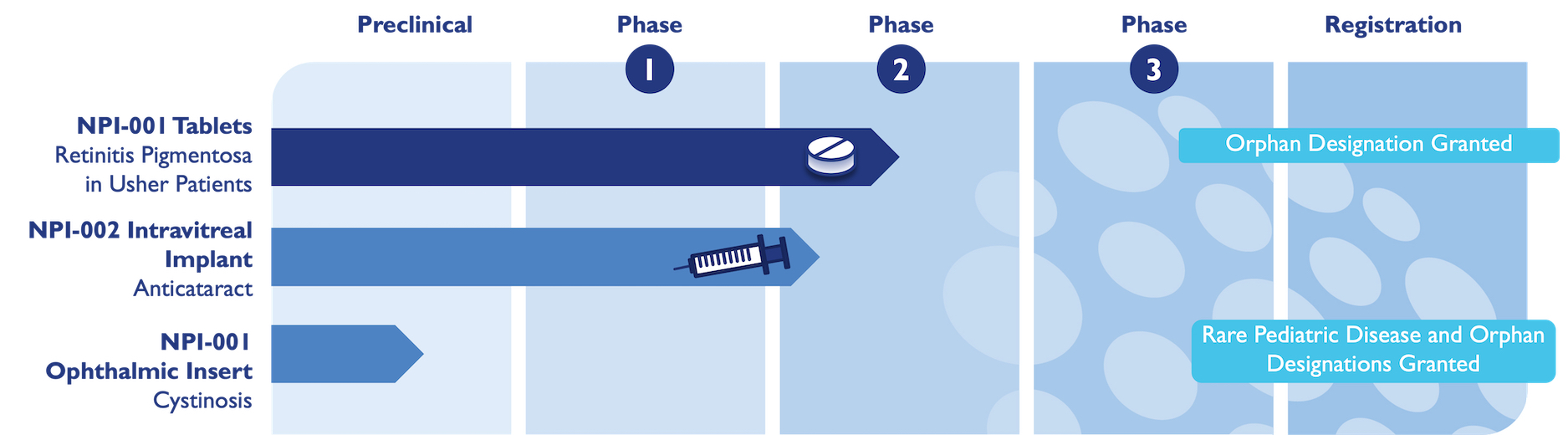 a graphic showing the pipeline stages from Preclinical through Phases 1, 2, 3, and Registration for each project